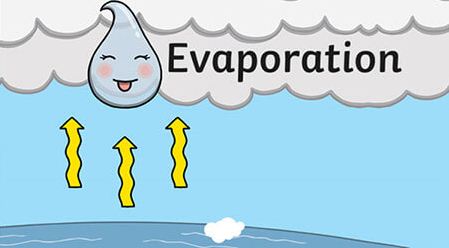 Role of Evaporation in Hydrometeorology